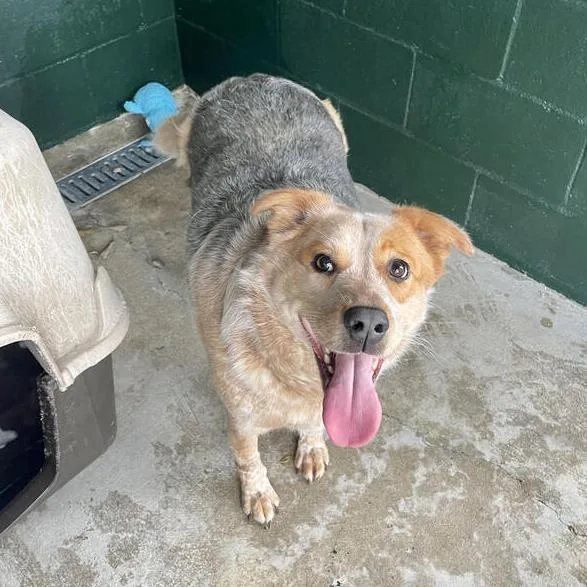 Big Booty Judy thumbnail 3