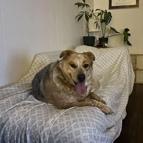 Big Booty Judy thumbnail 4