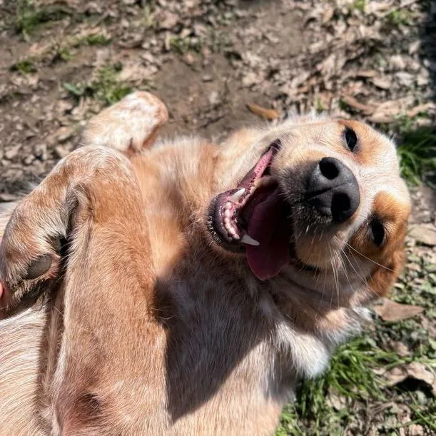 Big Booty Judy thumbnail 6