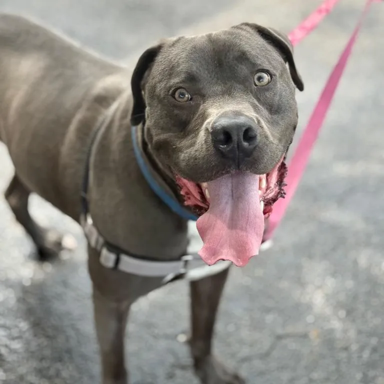 Hollywood thumbnail 2