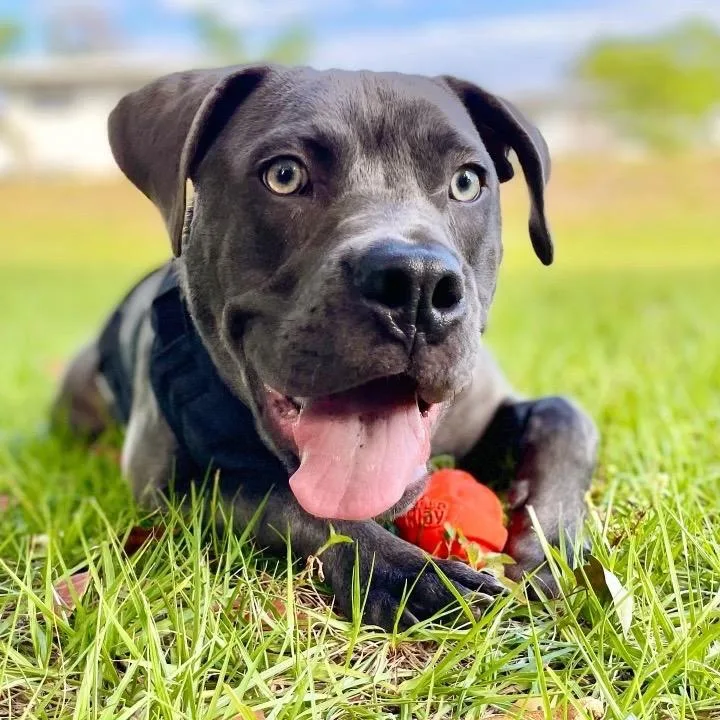 Hollywood thumbnail 6