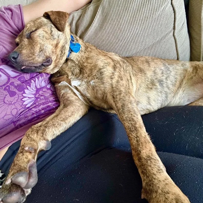 Sunshine thumbnail 3