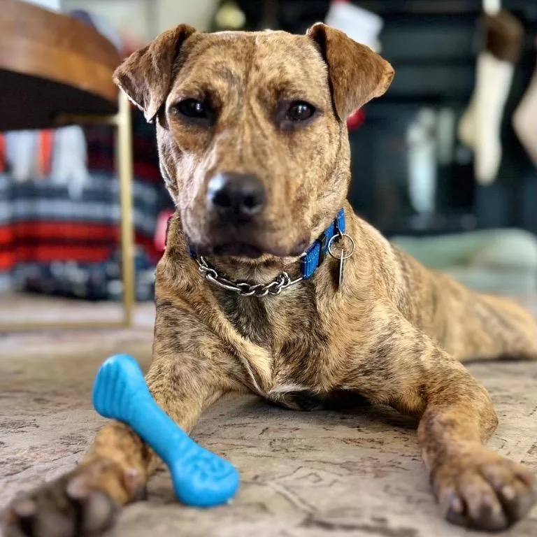 Sunshine thumbnail 4