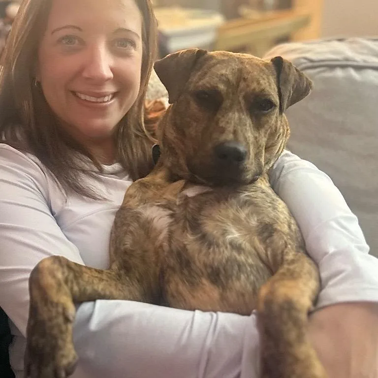 Sunshine thumbnail 5