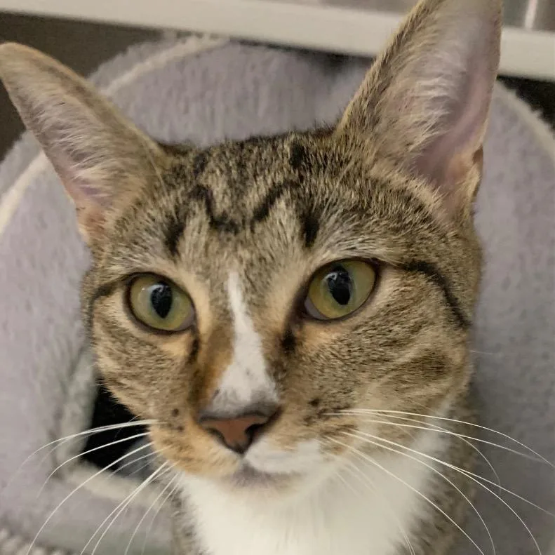 Wanderin' Winnie thumbnail 2