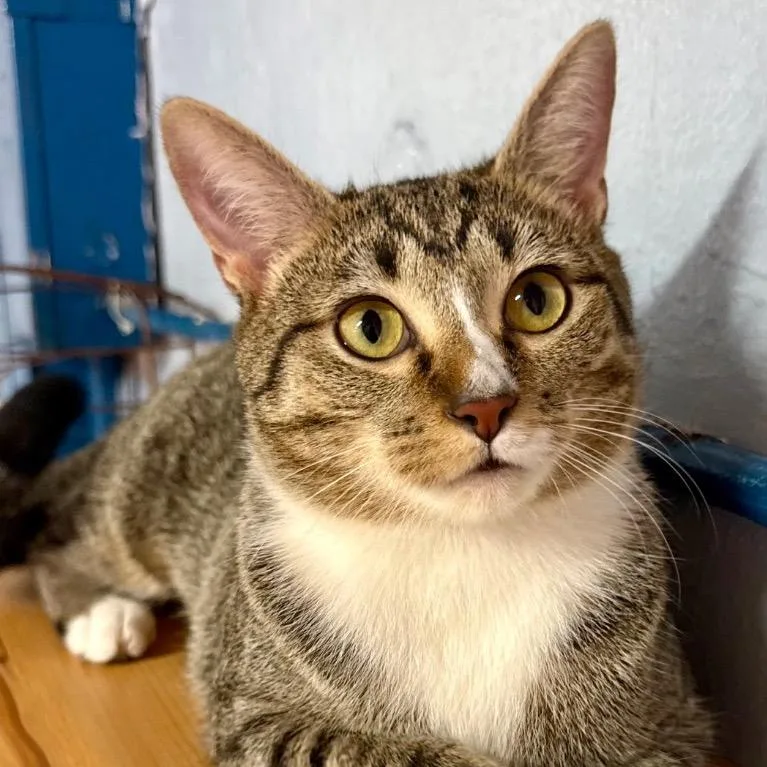 Wanderin' Winnie thumbnail 3