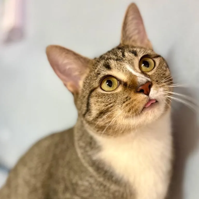 Wanderin' Winnie thumbnail 4