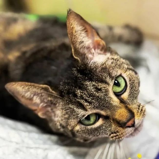 Columbia thumbnail 2