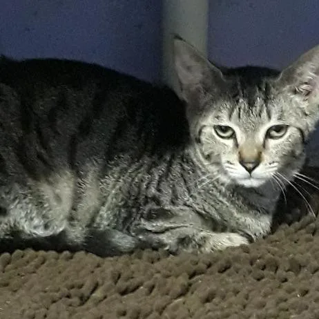 Columbia thumbnail 3