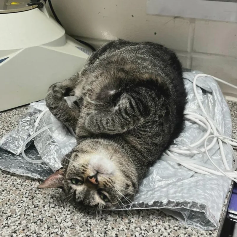 Columbia thumbnail 4