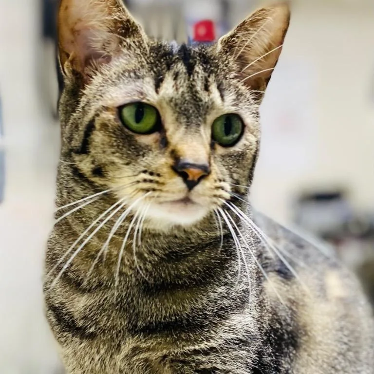 Columbia thumbnail 5