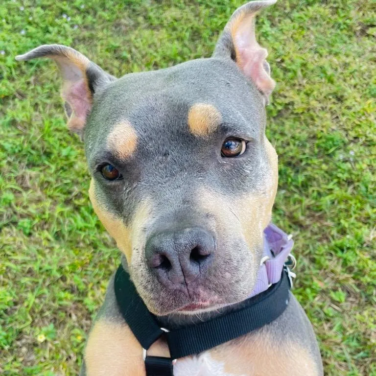 Mary Ann thumbnail 2