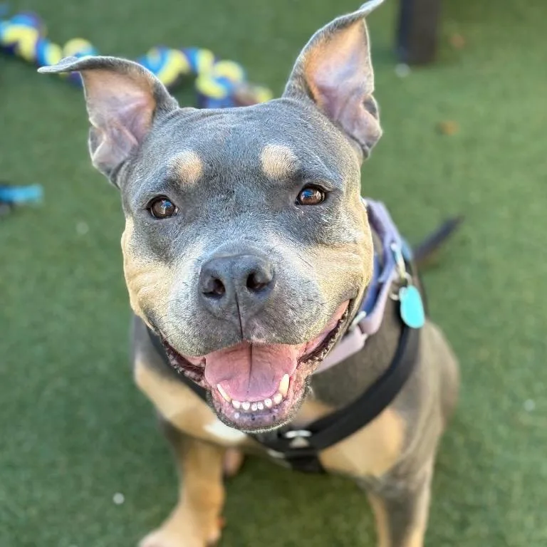 Mary Ann thumbnail 3