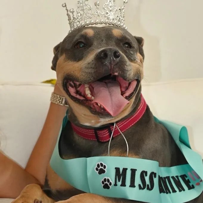 Mary Ann thumbnail 4