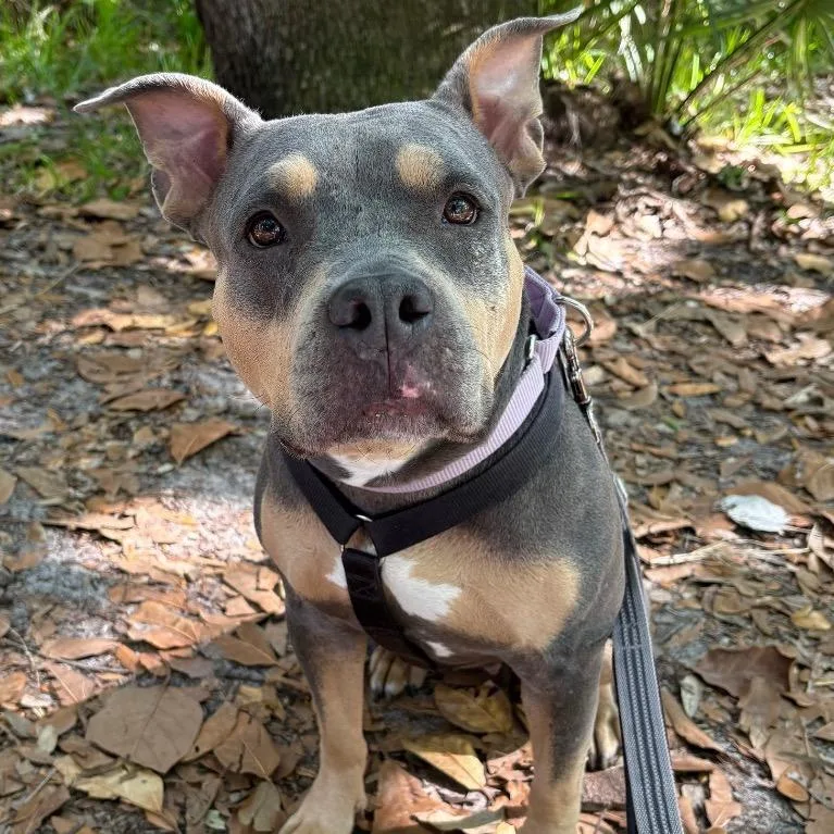 Mary Ann thumbnail 5