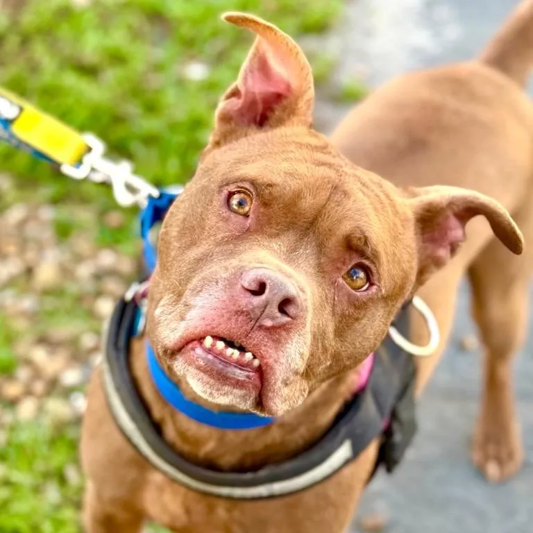 Peter Pan thumbnail 2