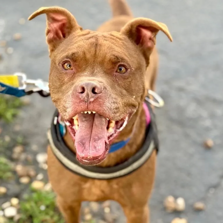 Peter Pan thumbnail 5