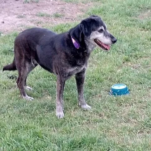 Jasper And Kami thumbnail 4