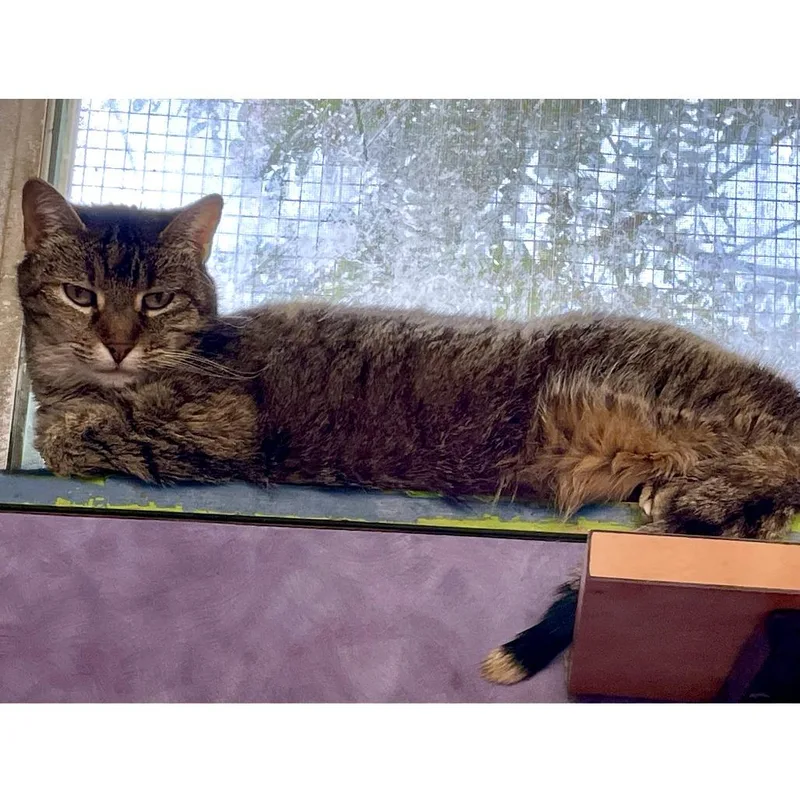 Emma Peal thumbnail 6