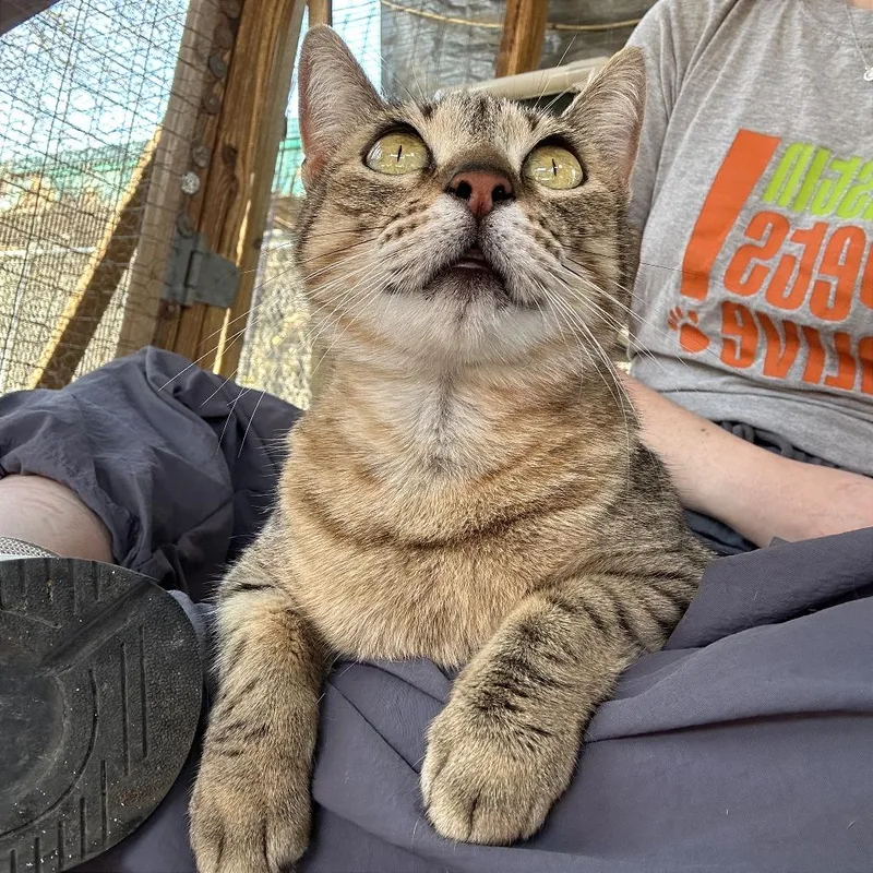 Lil Jimbob thumbnail 3