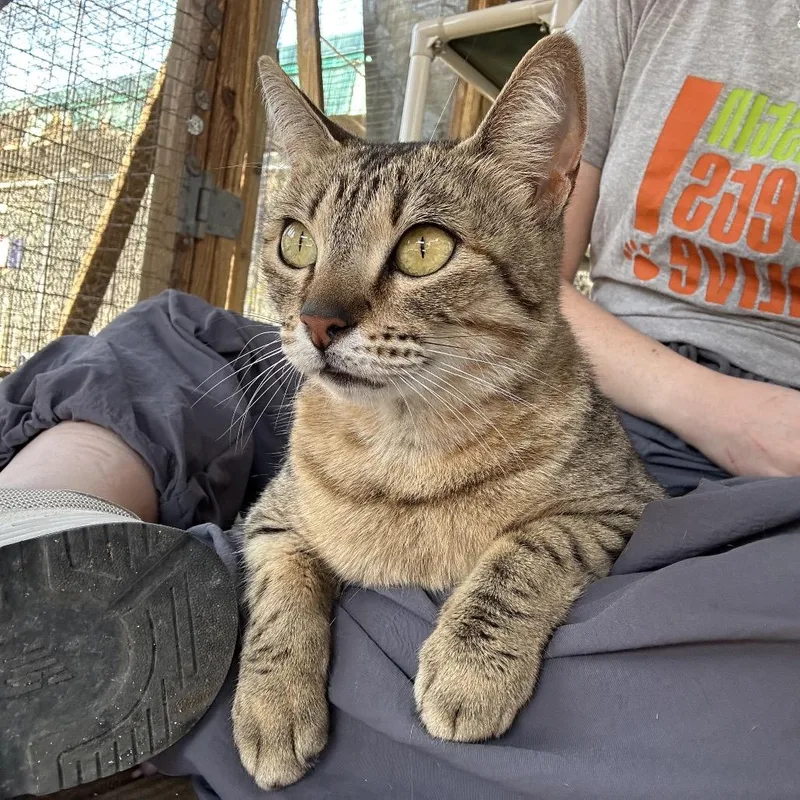 Lil Jimbob thumbnail 5