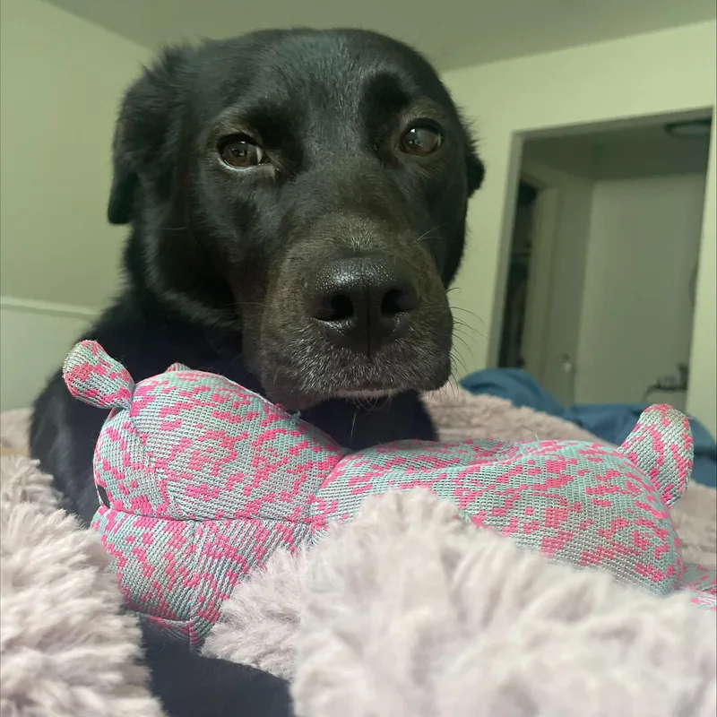 Marceline Aka Marcy thumbnail 2