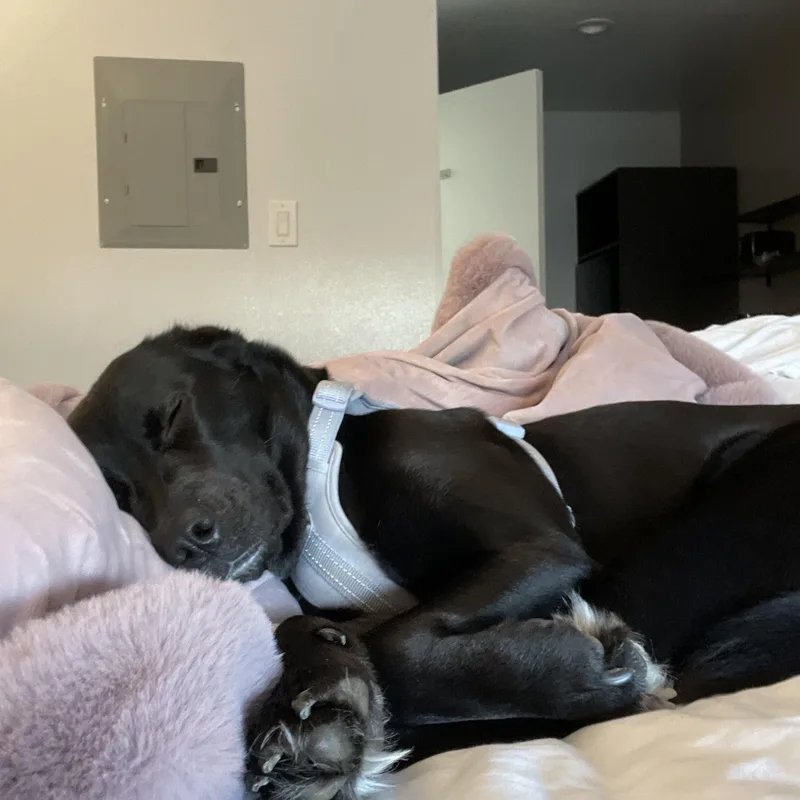 Marceline Aka Marcy thumbnail 3