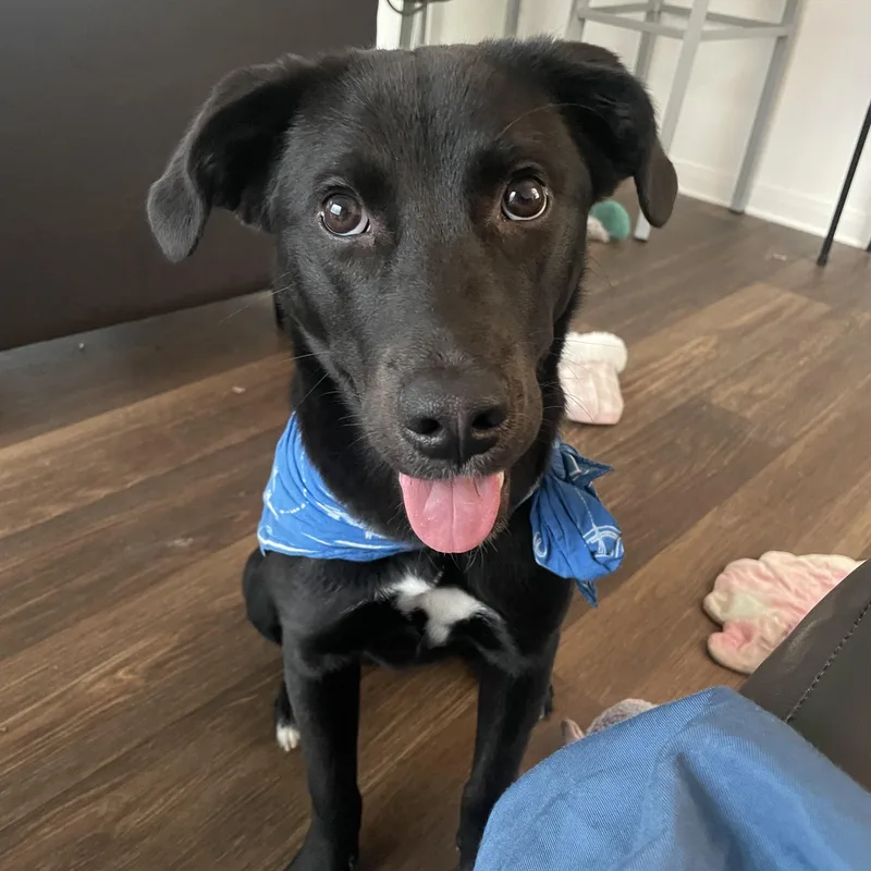 Marceline Aka Marcy thumbnail 4