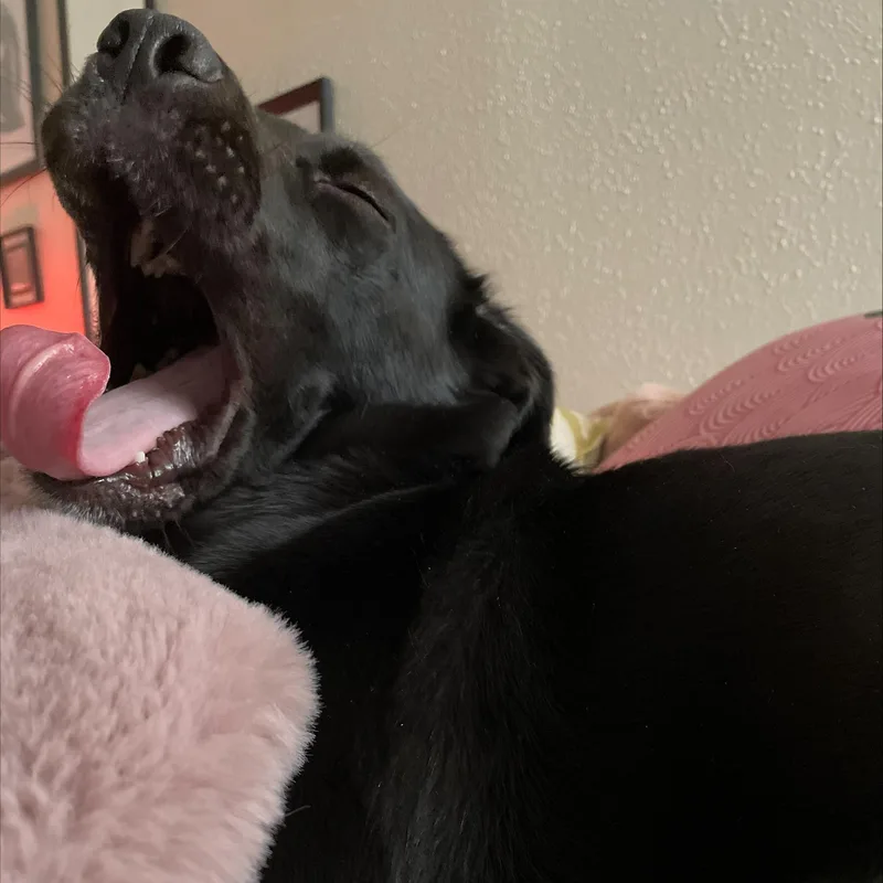 Marceline Aka Marcy thumbnail 5