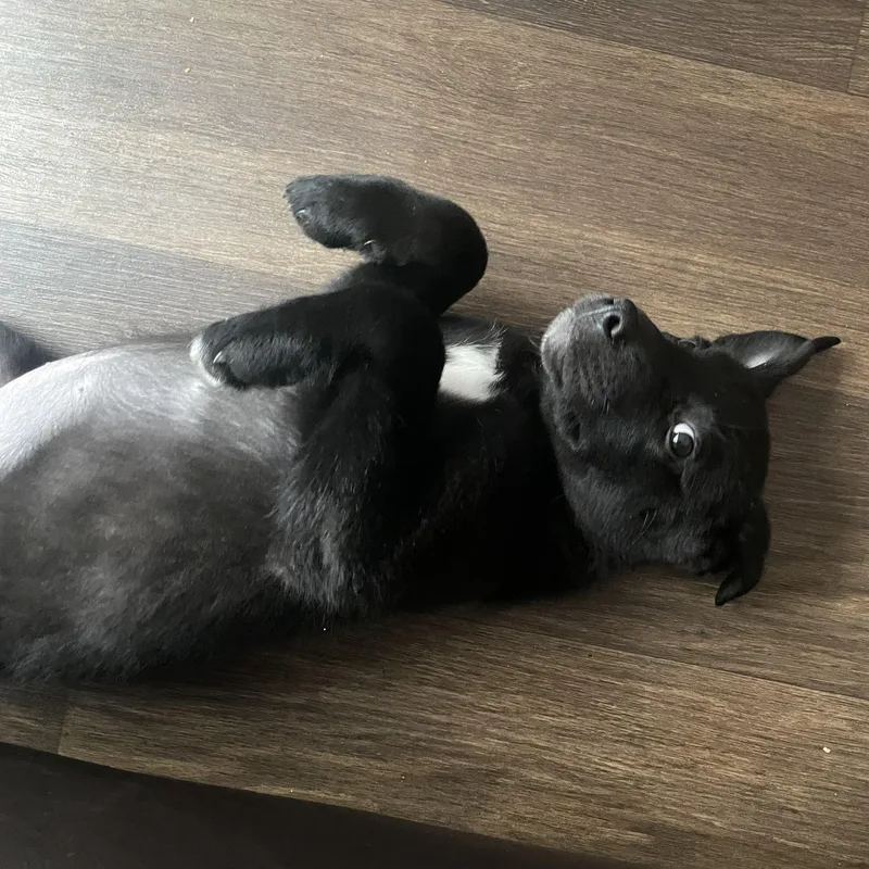 Marceline Aka Marcy thumbnail 6