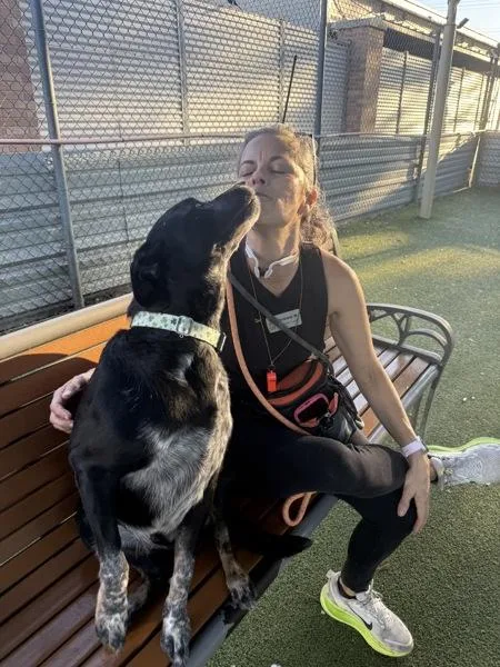 Meatball thumbnail 4