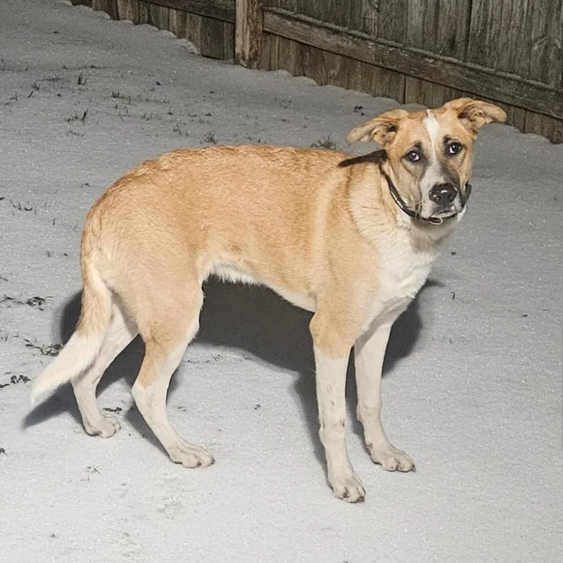 Michael Mcdogald thumbnail 2