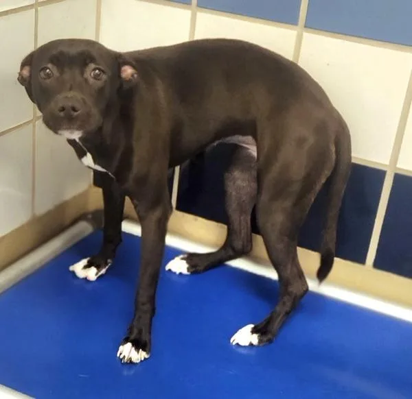 Gabriella thumbnail 3