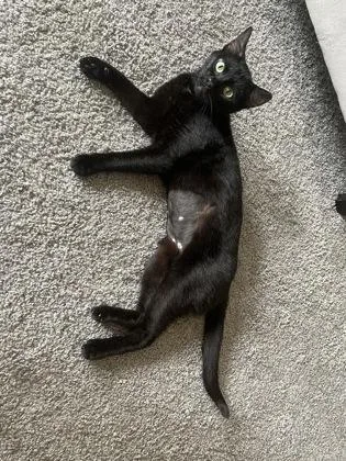 Baby Girl thumbnail 2