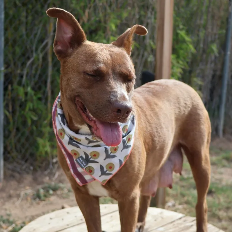 Sourdough thumbnail 2