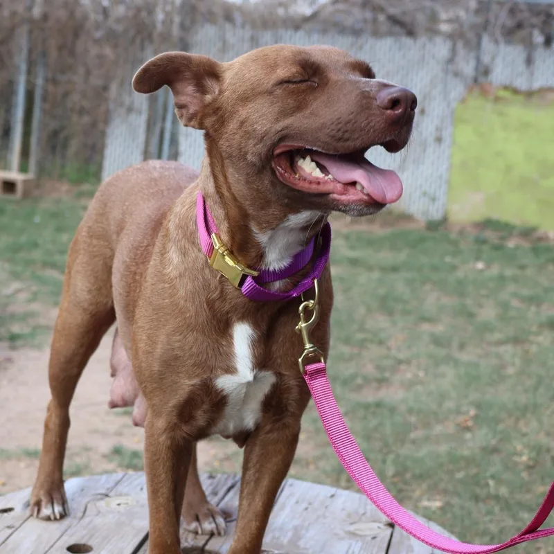 Sourdough thumbnail 3