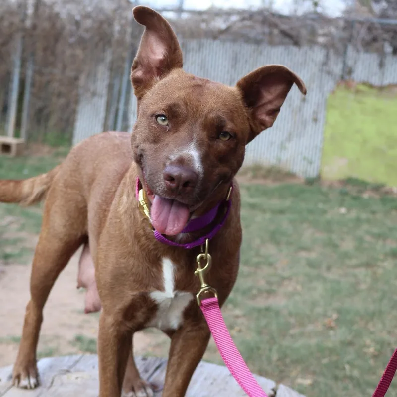 Sourdough thumbnail 4