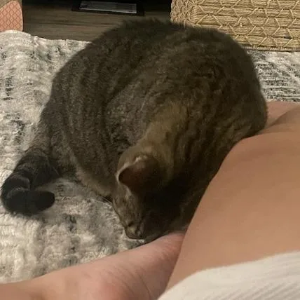 Split Pea Soup thumbnail 2