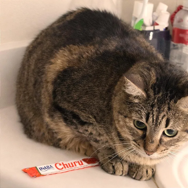 Split Pea Soup thumbnail 6