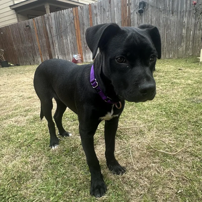 Carlos Rush thumbnail 3