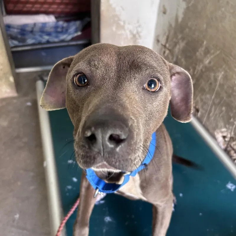 Minecraft thumbnail 2