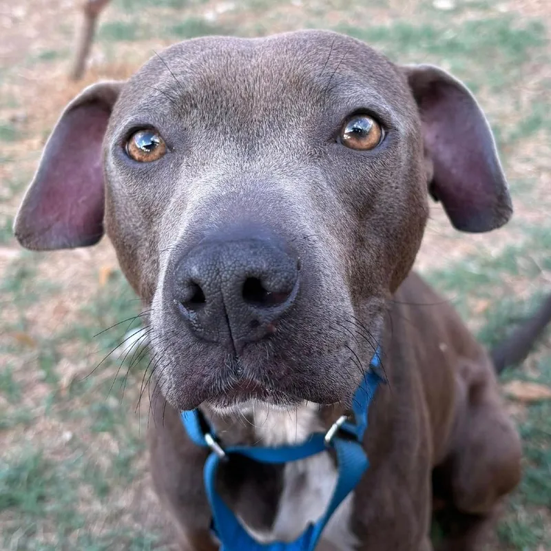 Minecraft thumbnail 3