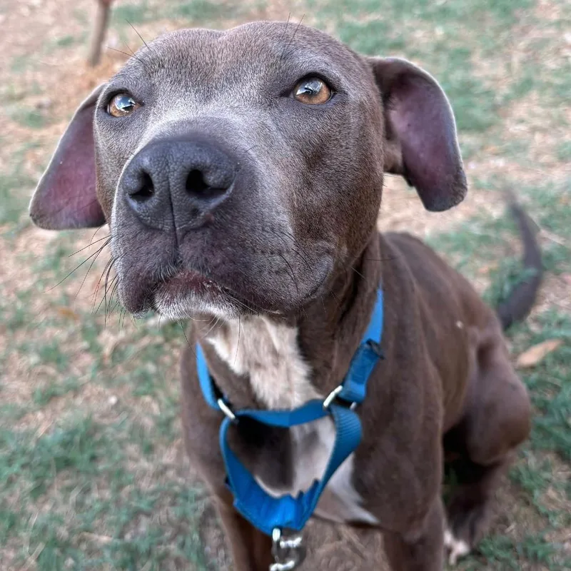 Minecraft thumbnail 4