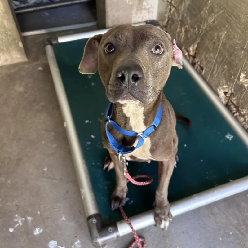 Minecraft thumbnail 5