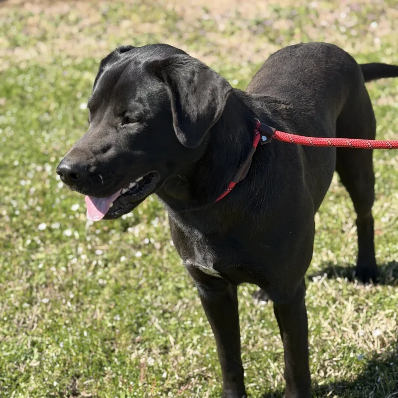 Mississippi. thumbnail 3