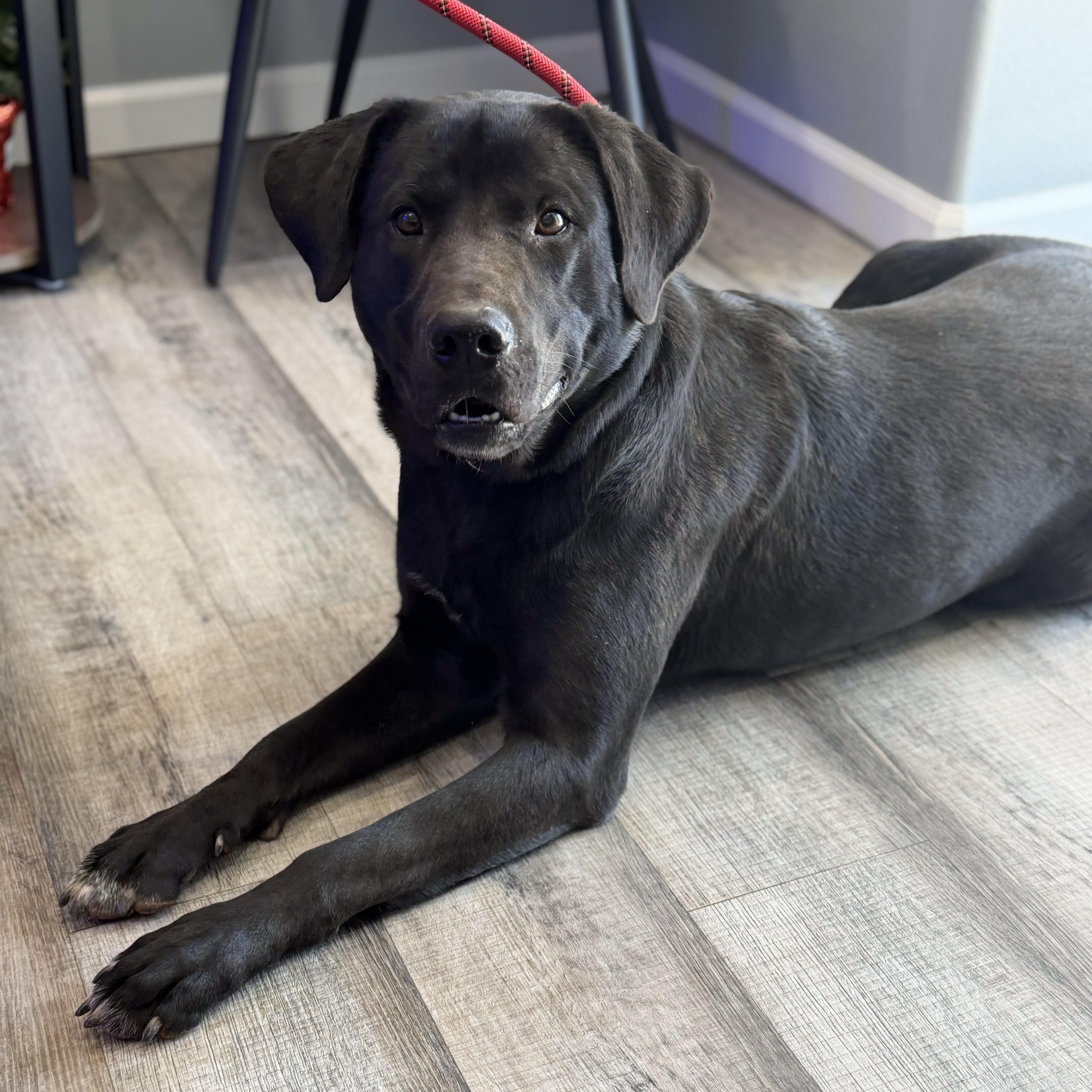 Mississippi. thumbnail 4