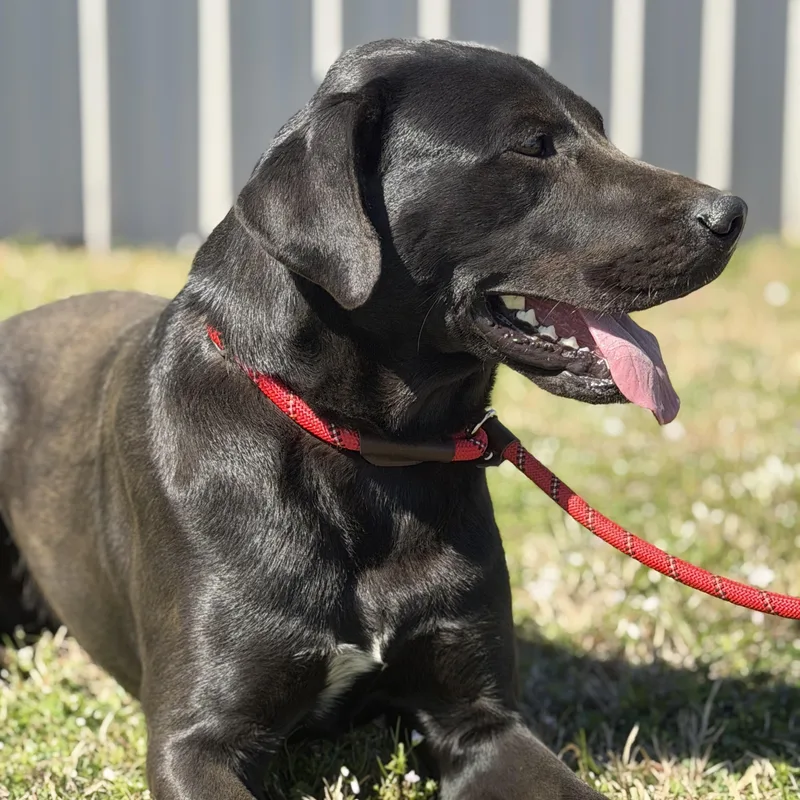 Mississippi. thumbnail 5