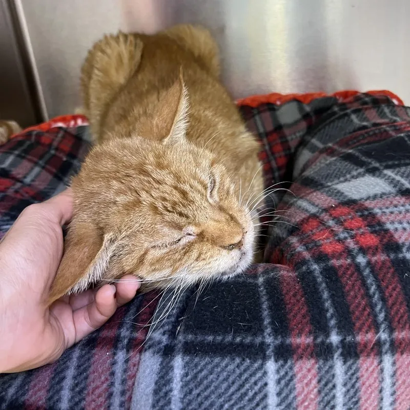 Mitsubishi thumbnail 3