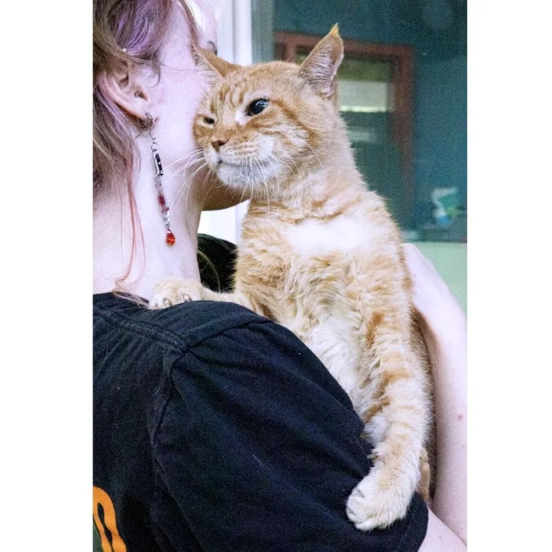 Mitsubishi thumbnail 5