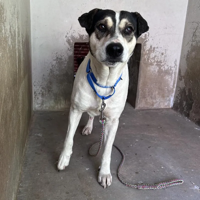 Regina George thumbnail 2